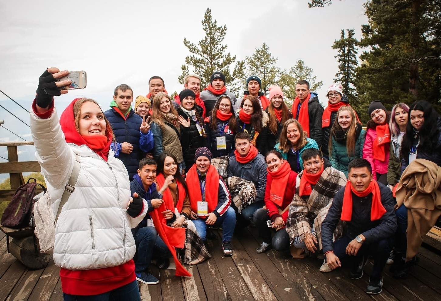 Описание изображения