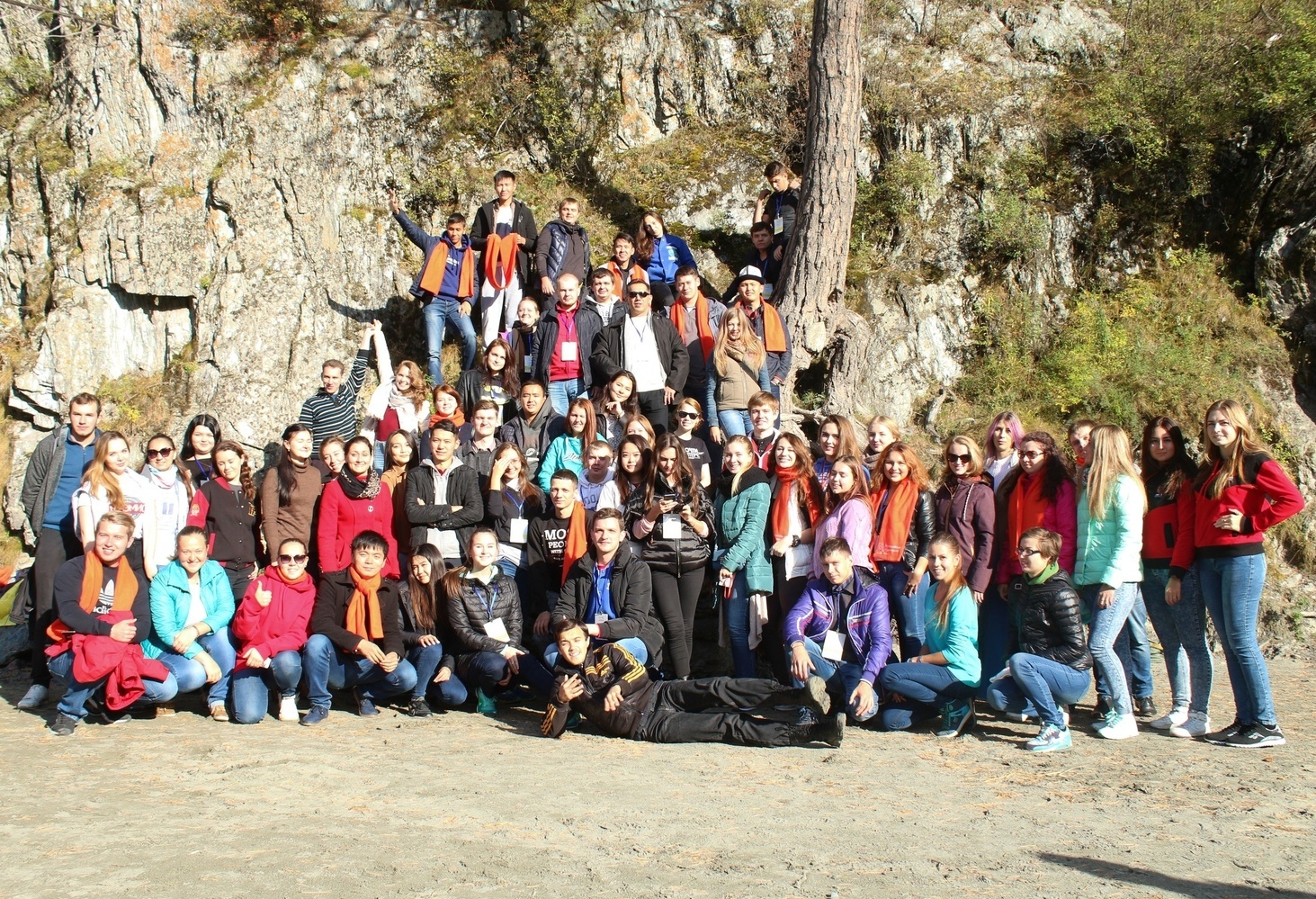 Описание изображения