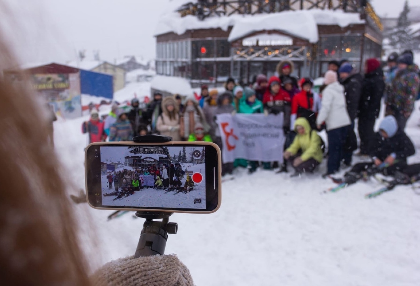 Описание изображения